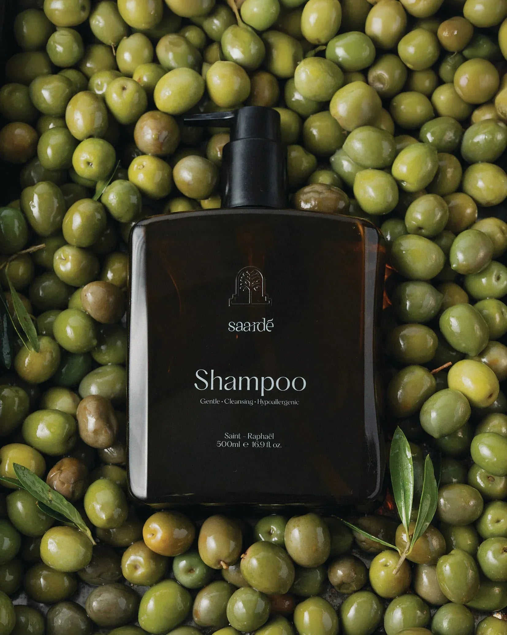 Shampoo | Saint Raphael | 480ml