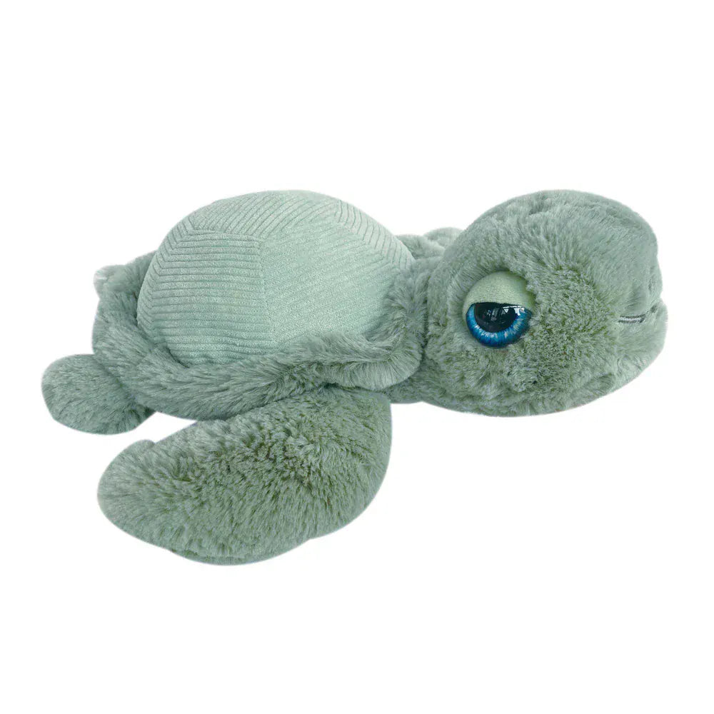 Turtle_1_1000x_jpg.webp