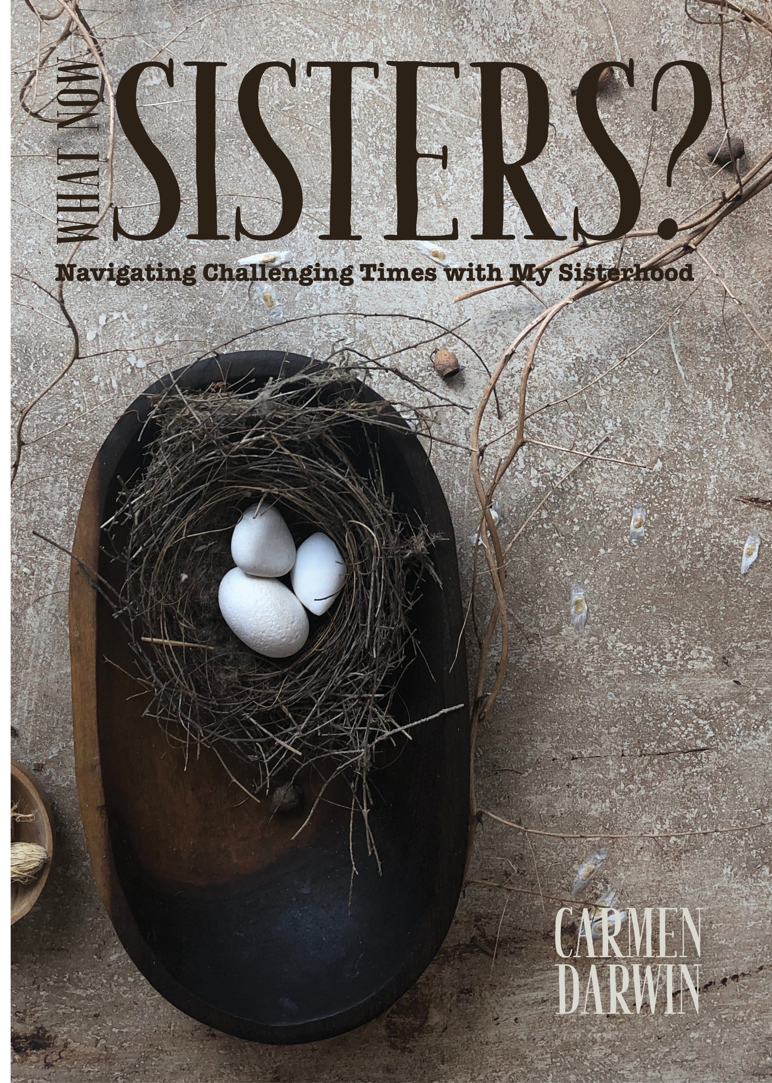 What Now Sisters Book