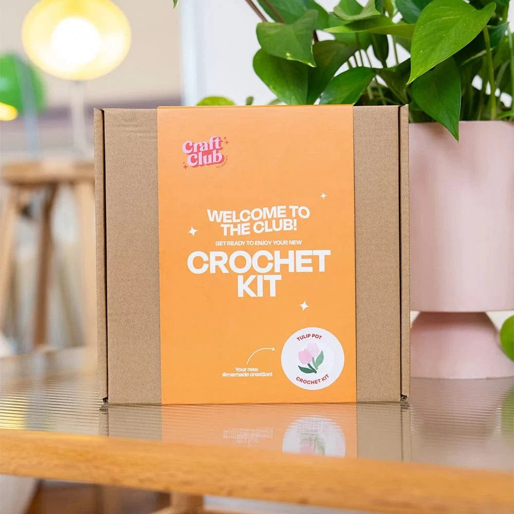 craft-club-co-crochet-kit-sunflower-pot-diy-crochet-pot-plant-kit-1152090169_jpg.webp