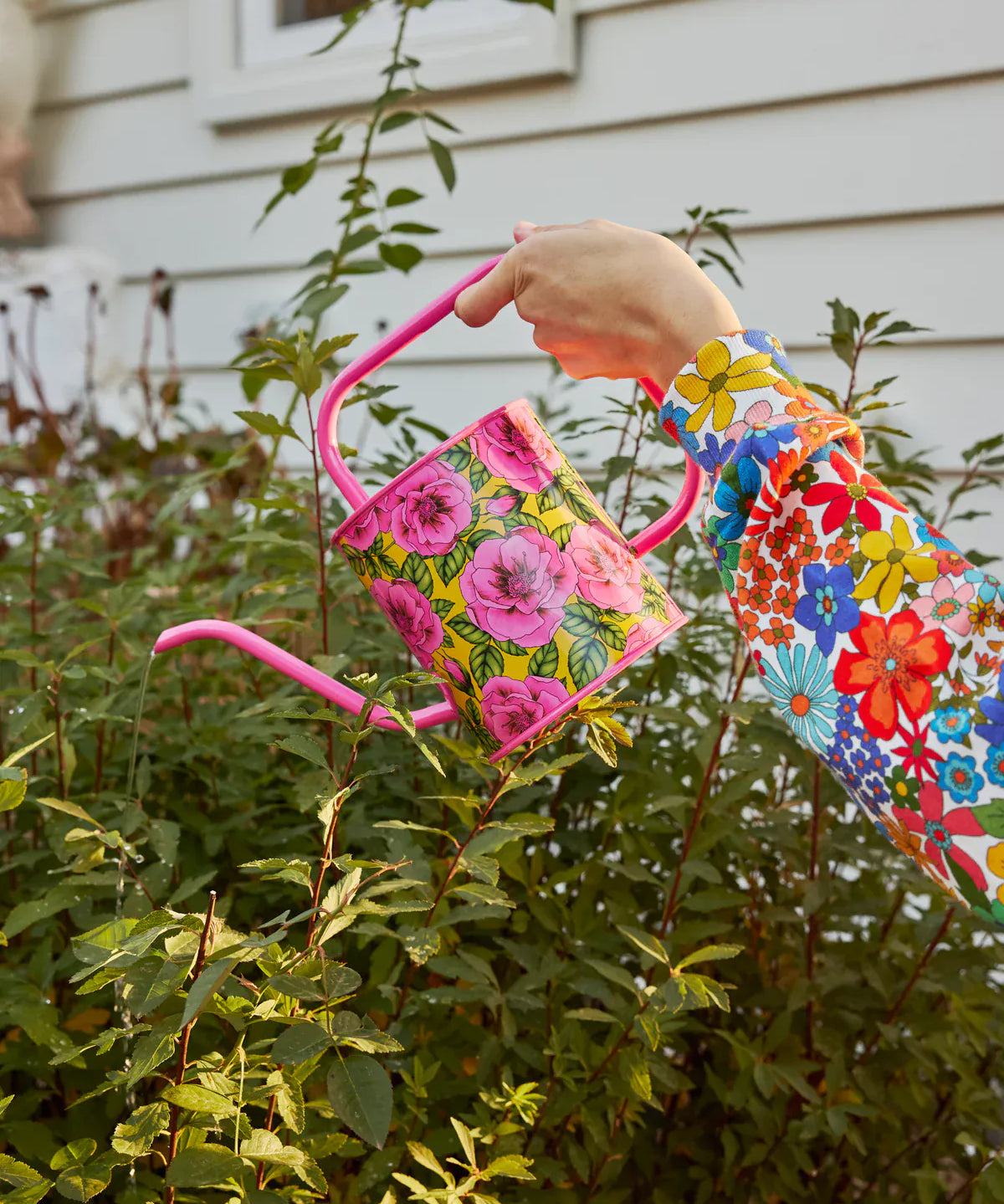 ef14fd07-c2f7-4a1c-b915-a4e2efa685c7_1200x_jpg.webp