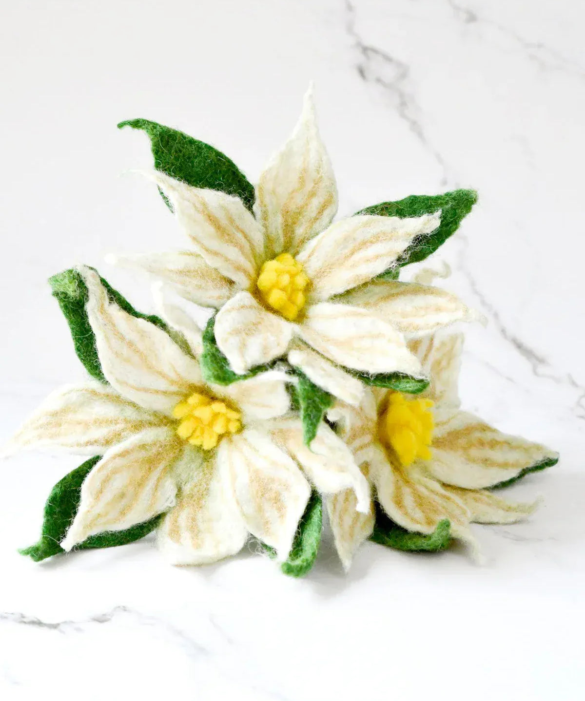 felt-white-poinsettia-flowers-3_jpg.webp