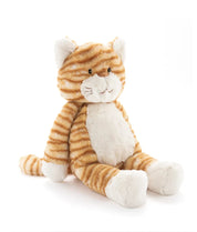 Ginger the Cat