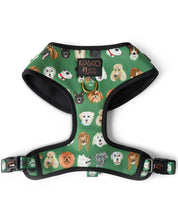 Dog Park Dog Harness | Small