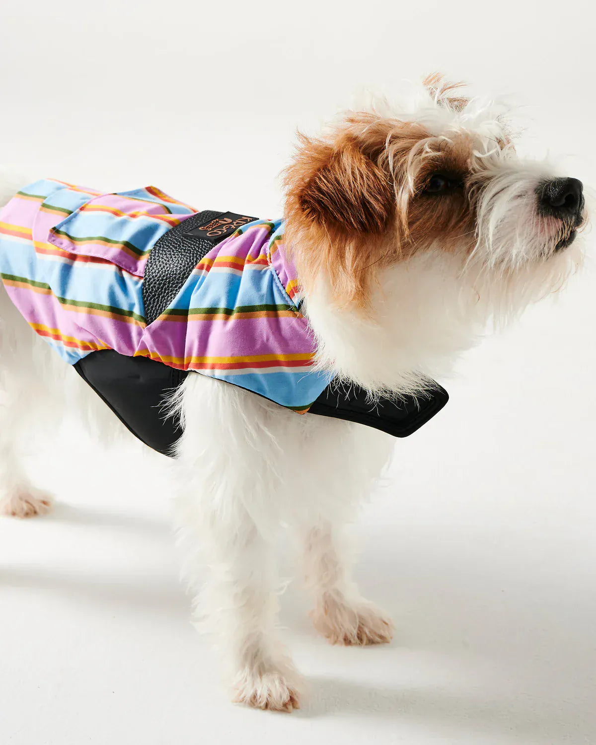 Fez Stripe Dog Jacket | Small
