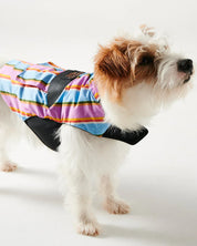 Fez Stripe Dog Jacket | Small
