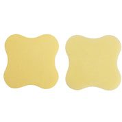 Malorie Coaster Set of 2 | Aspen Gold