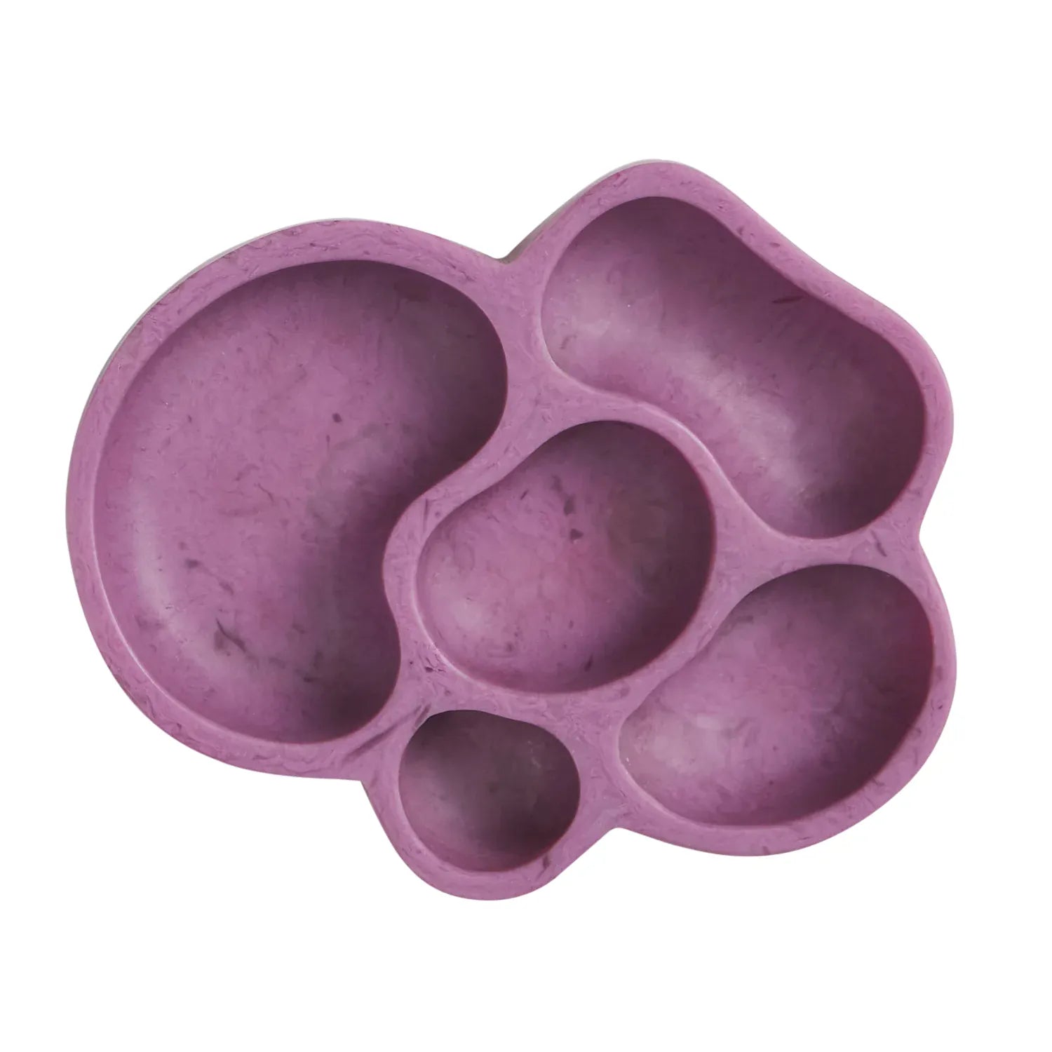 Izzy Dish | Orchid