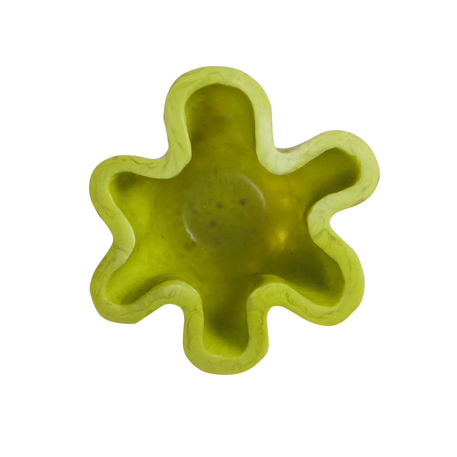 Leah Vase | Anise