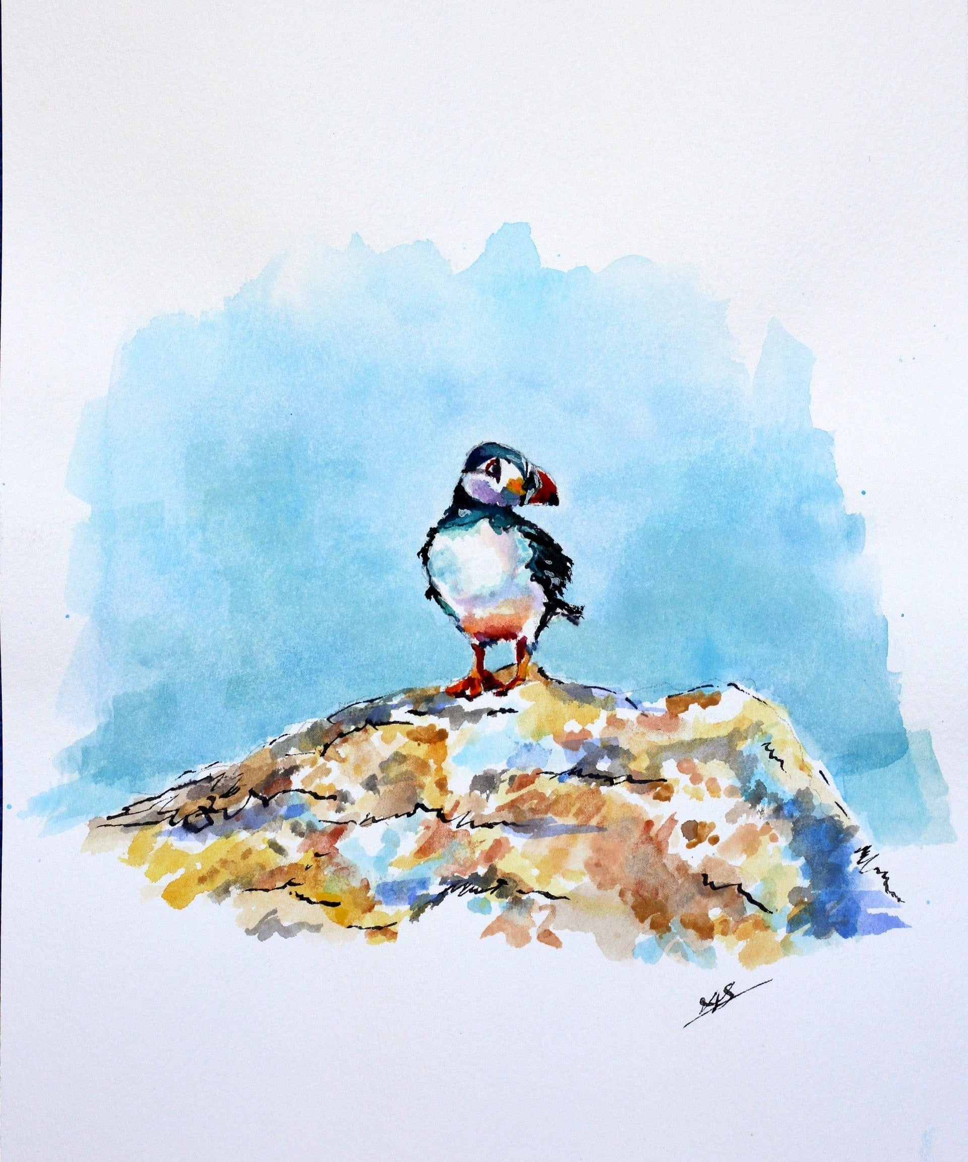 thumbnail_2025Puffin.jpg