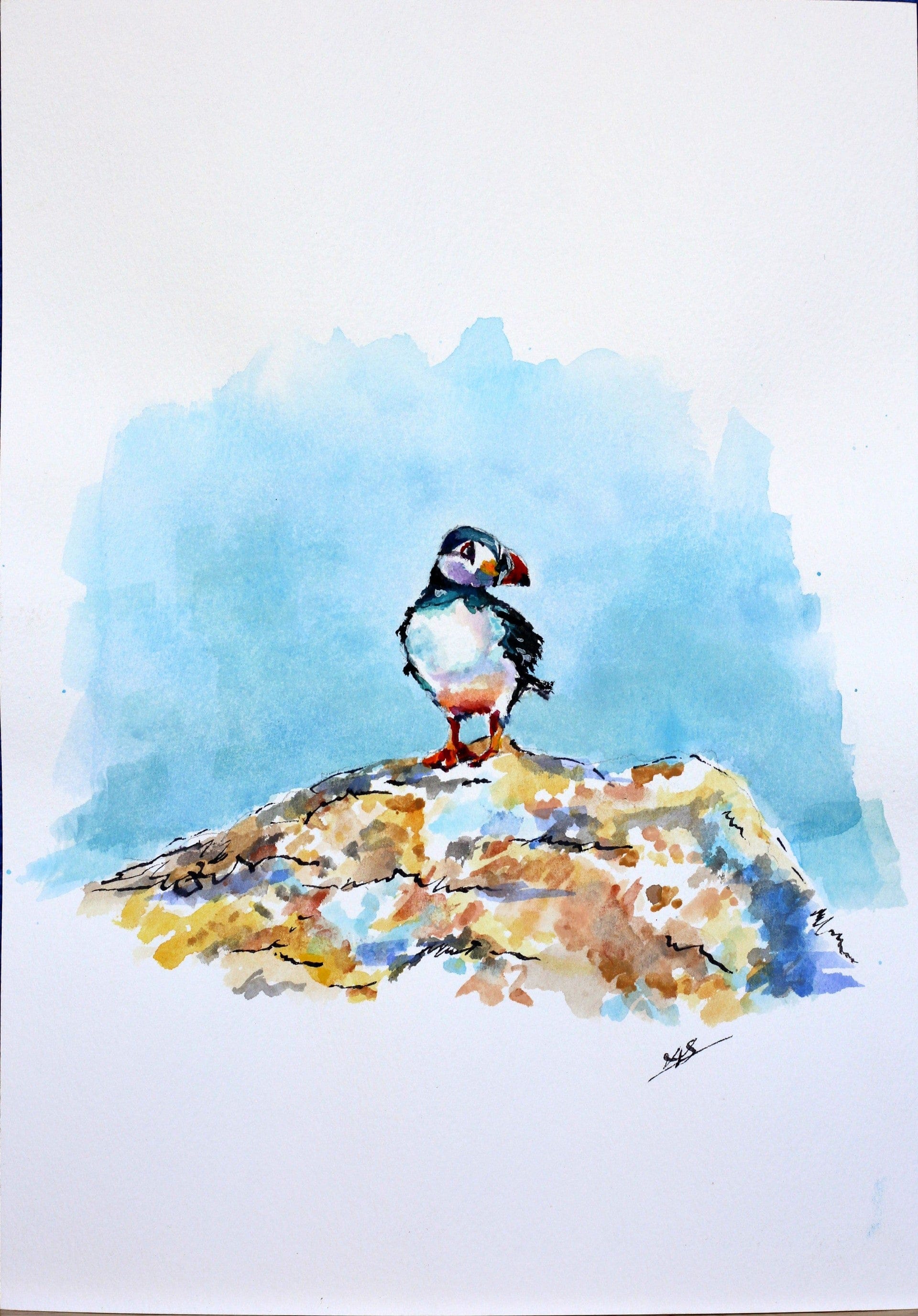 Puffin