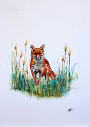 Vixen