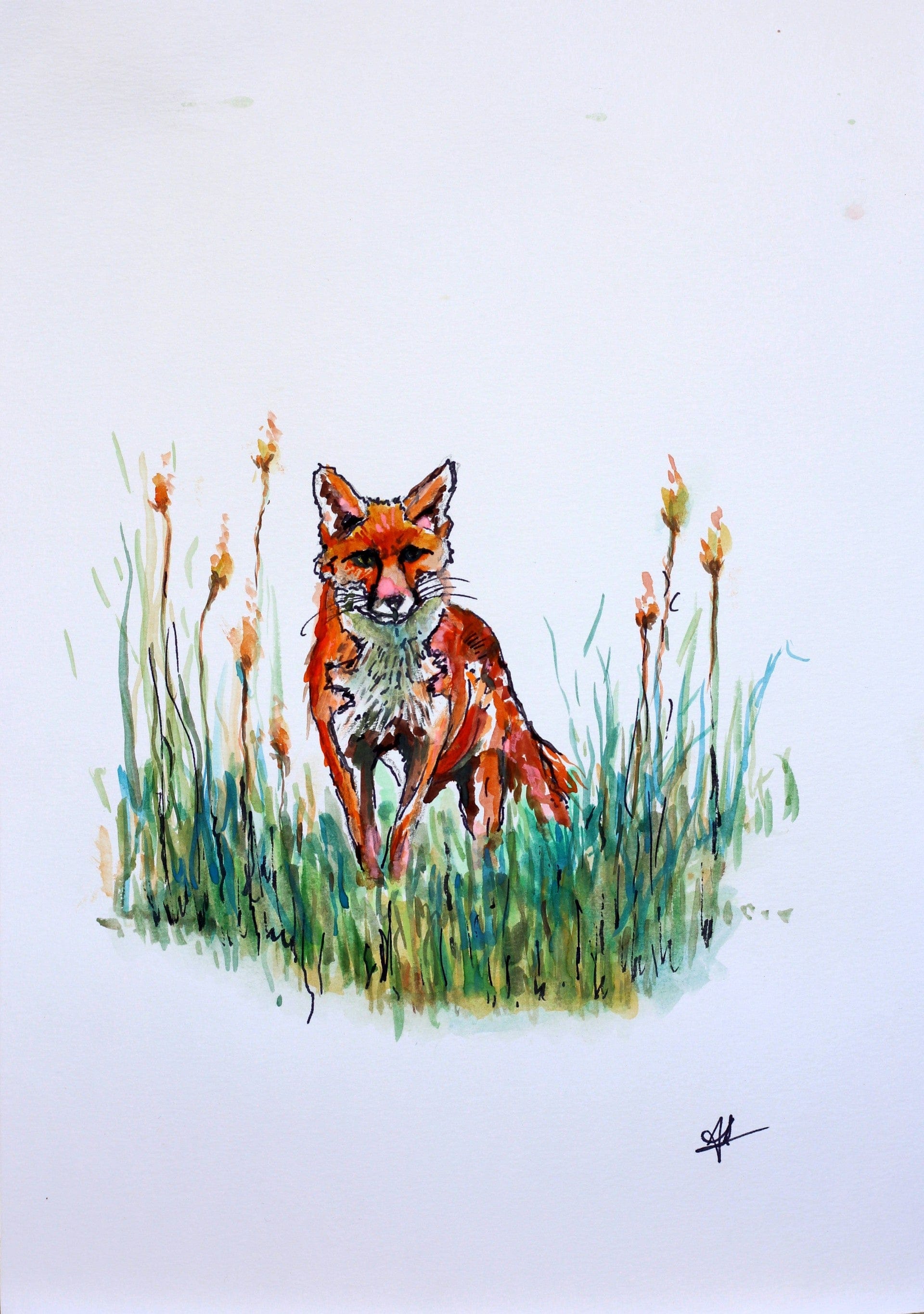 Vixen