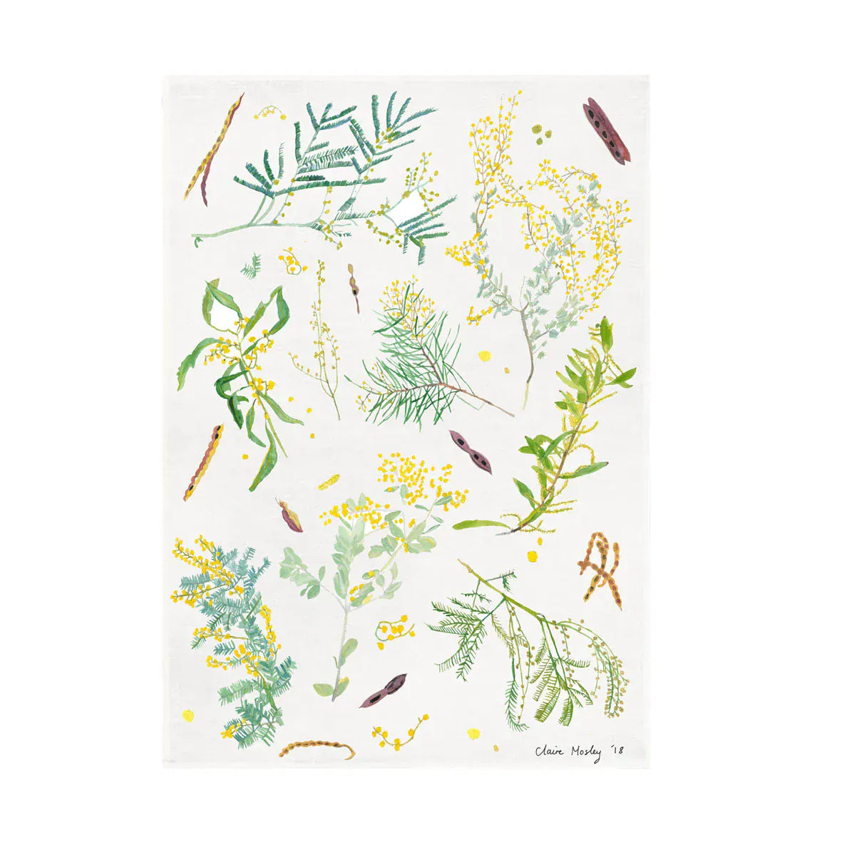 Tea Towel | Wattle