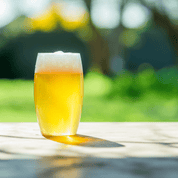 Rowdy Family Beer Pack