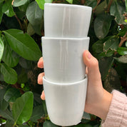 Beaker | Elephant