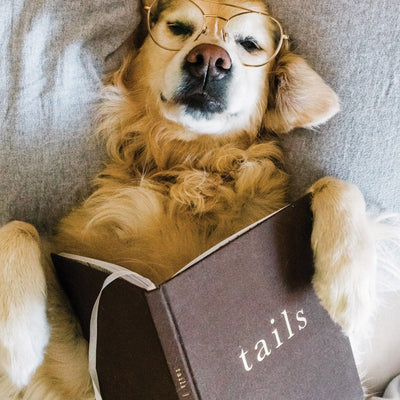 Dog reading his tails book